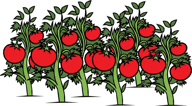 Pomodoro Technique: The Secret to Improved Productivity