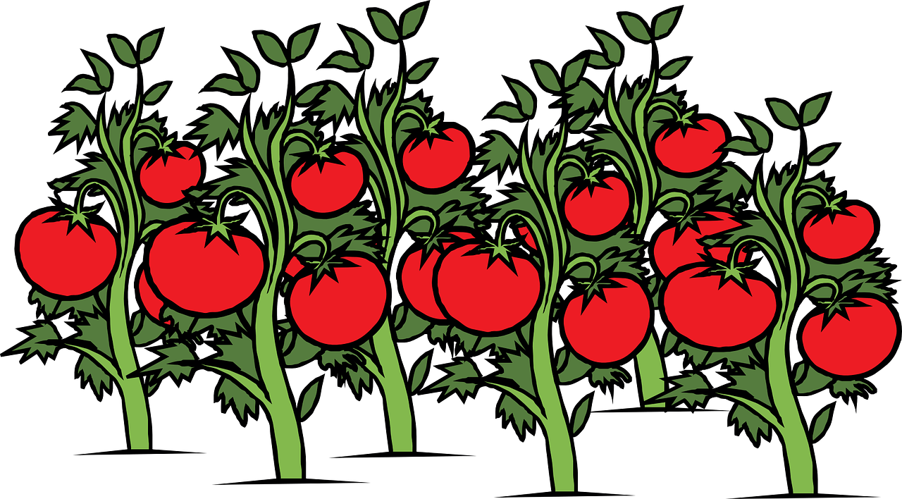 Pomodoro Technique: The Secret to Improved Productivity