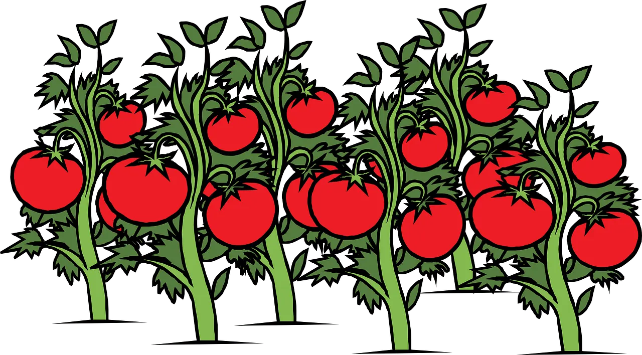 Pomodoro Technique: The Secret to Improved Productivity